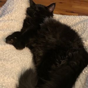 Meet your Posher, Cindy